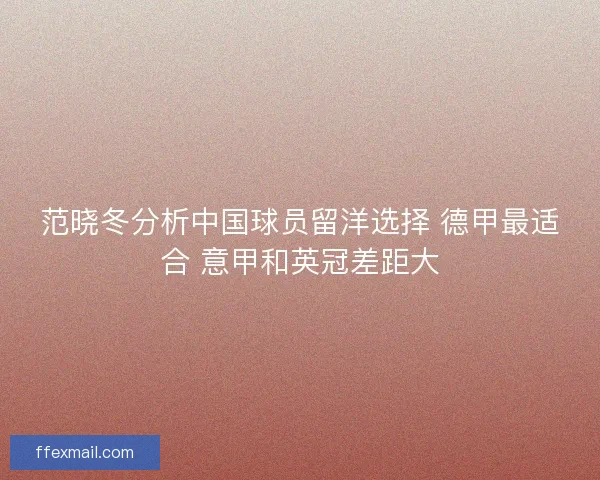 范晓冬分析中国球员留洋选择 德甲最适合 意甲和英冠差距大